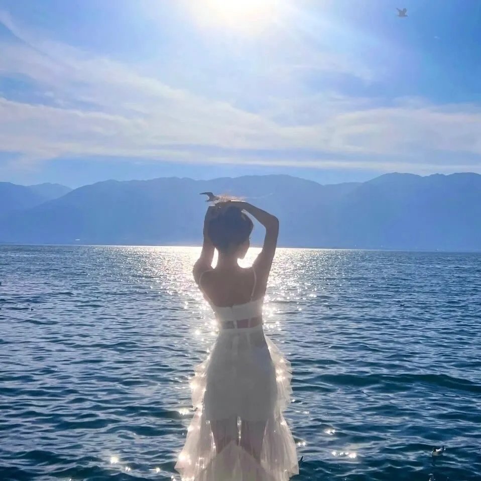 男人与流浪狗